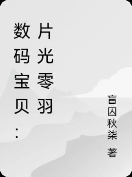 数码宝贝：片光零羽