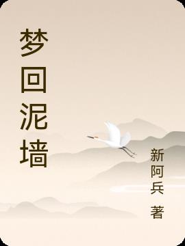 梦回泥墙