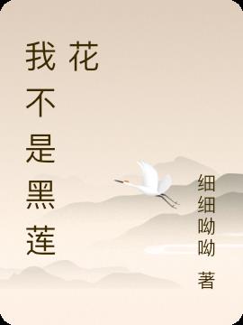 我不是黑莲花