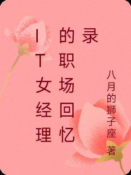 IT女经理的职场回忆录