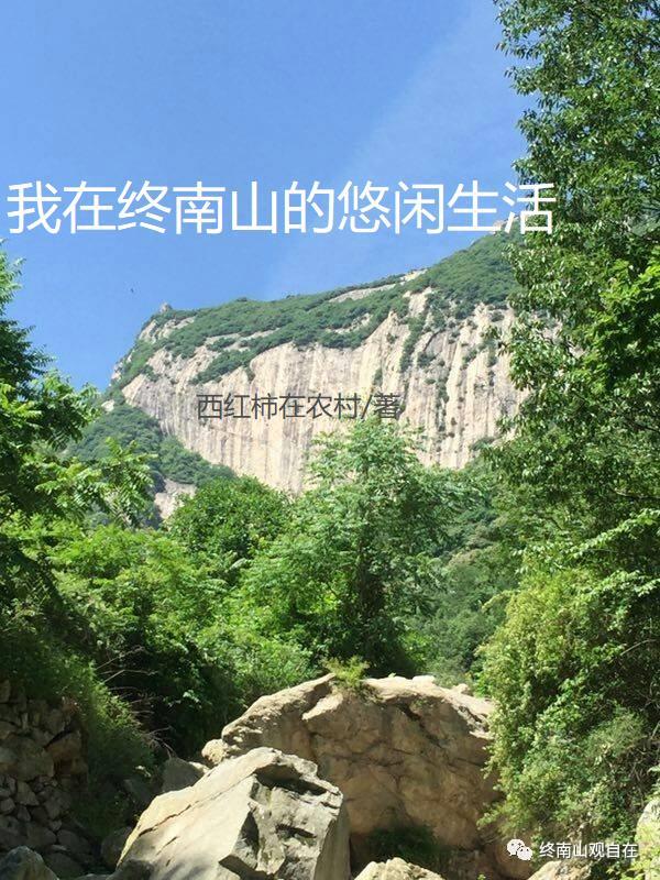 我在终南山的悠闲生活