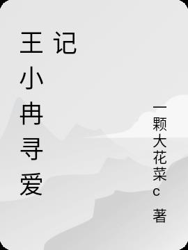 王小冉寻爱记