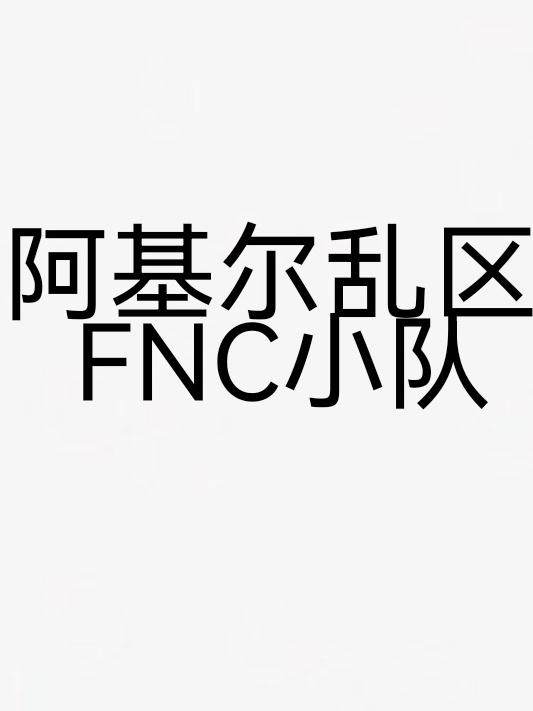 阿基尔乱区：FNC小队