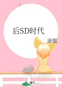 后SD时代