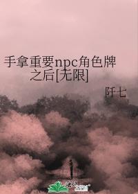 手拿重要npc角色牌之后[无限]