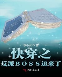 快穿之反派BOSS追来了