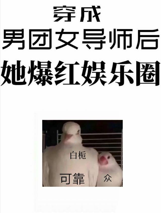 穿成男团选秀女导师后她爆红娱乐圈