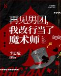 再见男团,我改行魔术大师