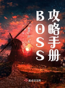 BOSS攻略手册