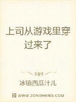 上司从游戏里穿过来了