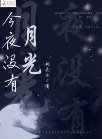 今夜没有月光