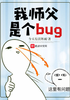 我师父是个bug