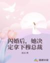 闪婚后,她决定拿下穆总裁