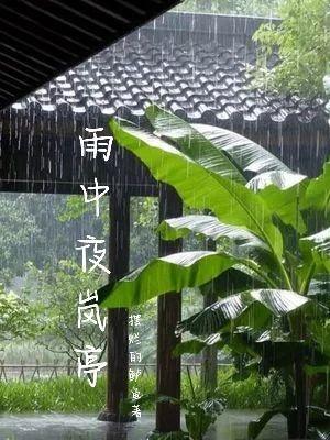 雨中夜岚亭