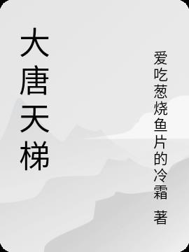 大唐天梯